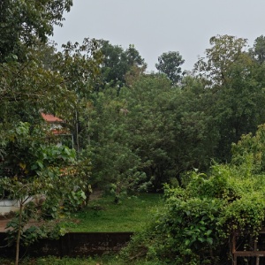 Noorjahan Profile Picture